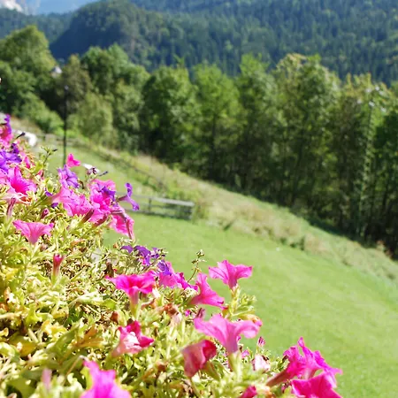 Dolomiti Gaia 3*