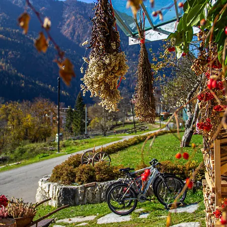 Dolomiti Gaia Venas