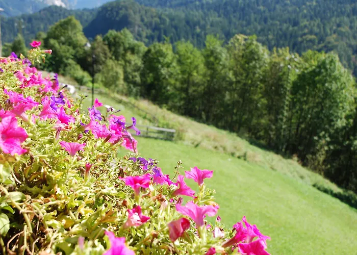 Dolomiti Gaia 3*