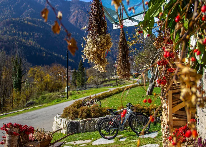Dolomiti Gaia Venas