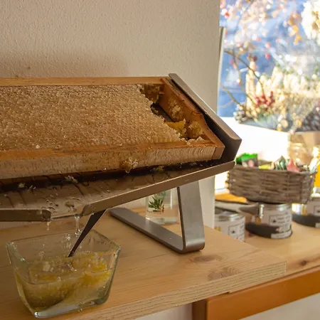 Dolomiti Gaia فندق